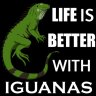 Iguana